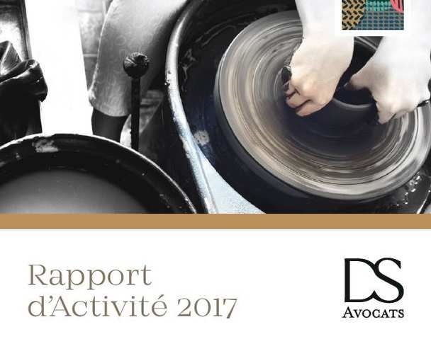DS publie son rapport d’activité 2017