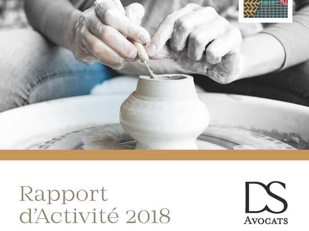 DS publie son Rapport d’Activité 2018